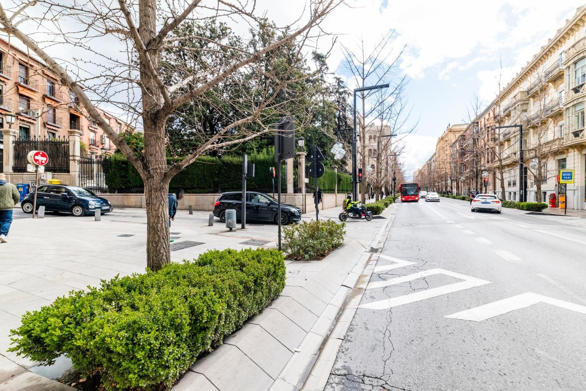 Encanto En Arco Elvira Centro Junto A Catedral 格拉纳达 外观 照片